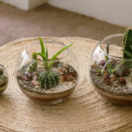 Terrariums